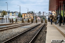 Urzd Miejski w Wolsztynie