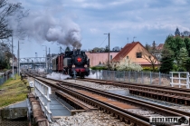 Urzd Miejski w Wolsztynie