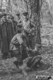 Urzd Miejski w Wolsztynie