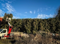 Urz�d Miejski w Wolsztynie