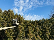 Urz�d Miejski w Wolsztynie