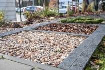 Urz�d Miejski w Wolsztynie