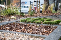 Urz�d Miejski w Wolsztynie