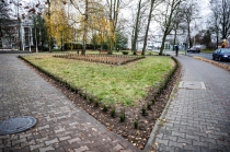 Urz�d Miejski w Wolsztynie