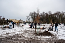 Urz�d Miejski w Wolsztynie