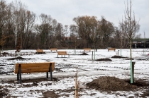 Urz�d Miejski w Wolsztynie