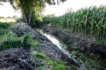 Urz�d Miejski w Wolsztynie