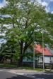 Urz�d Miejski w Wolsztynie