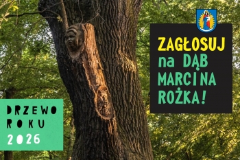 Urz�d Miejski w Wolsztynie
