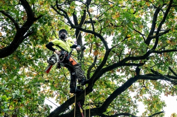 Urz�d Miejski w Wolsztynie