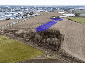 Urz�d Miejski w Wolsztynie