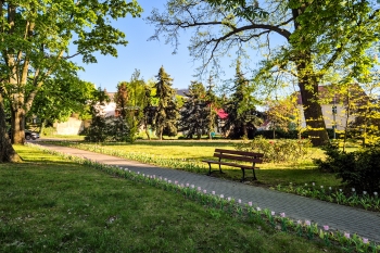 Urzd Miejski w Wolsztynie